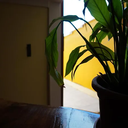 L' Asfodelo Maison d'hôtes Cagliari