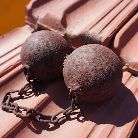 Maison d'hôtes L' Asfodelo Cagliari