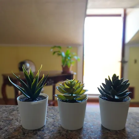 L' Asfodelo Gasthuis 3*